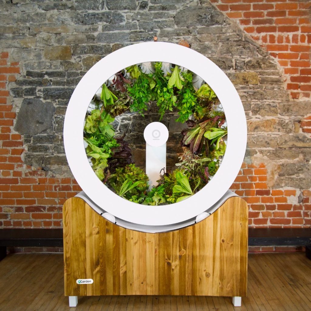 OGarden: Growing Vegetables At Home