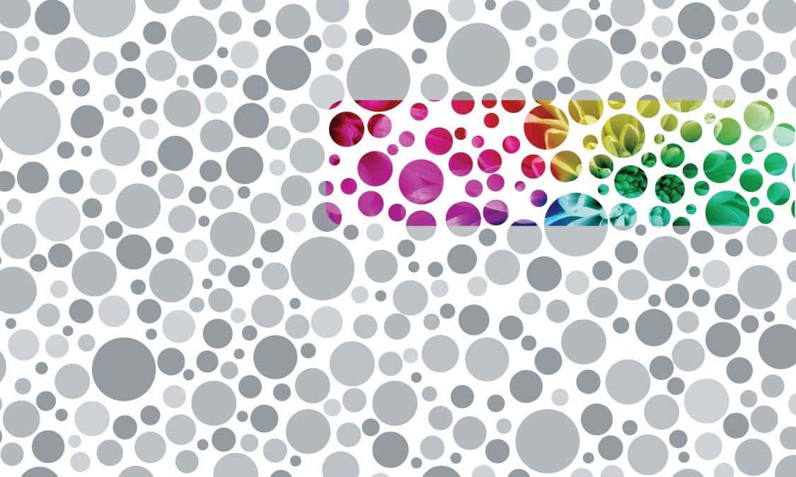 Enchroma Fixes Color Blindness