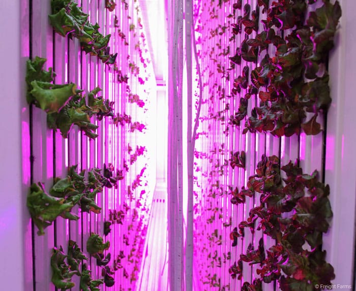 Freight Farms LED Lights Farming Agriculture Technology Visual Atelier 8 1