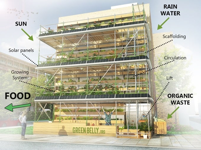 GreenBelly, A Sustainable Vertical Garden