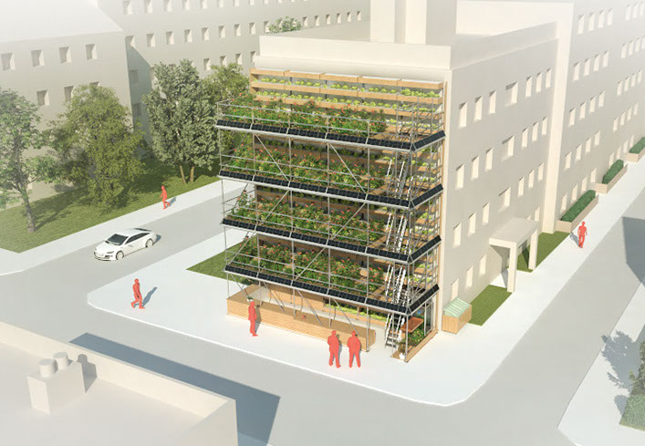 GreenBelly, A Sustainable Vertical Garden