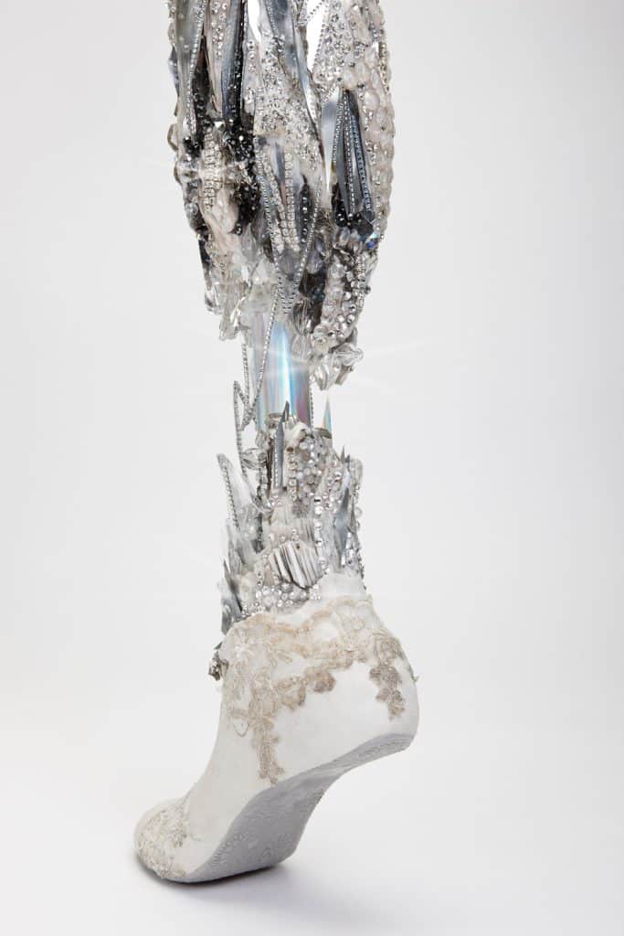 Images of the Alternative Limb Project