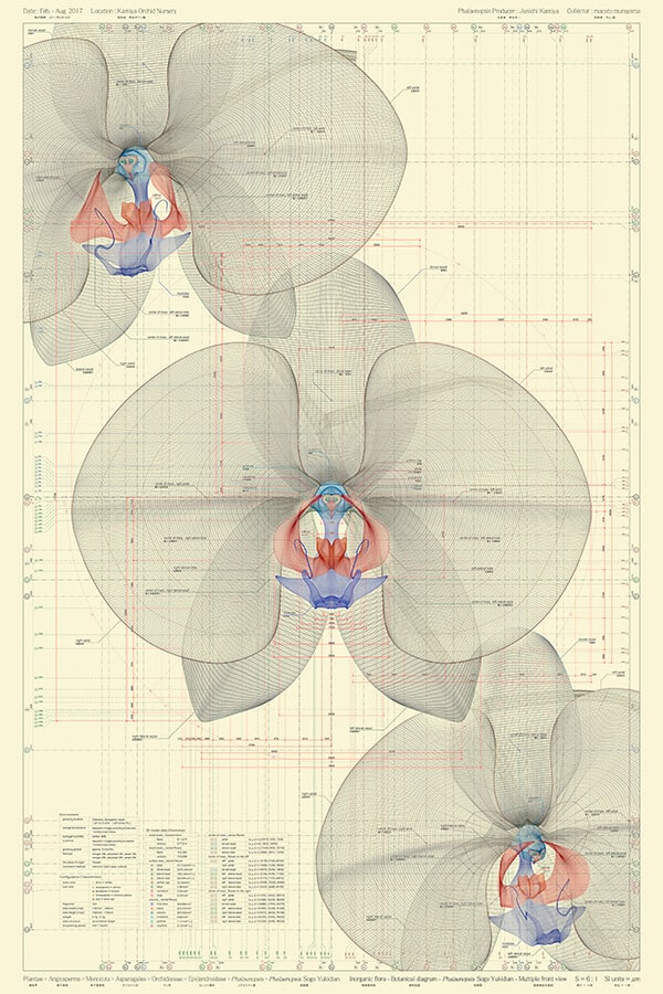 Interview With Macoto Murayama