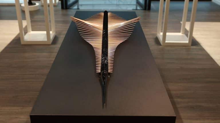 Apical Reform Designs Stingray