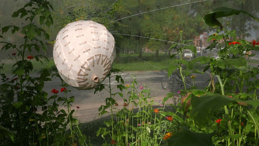 Biotope: Life And Place In Urban Contexts