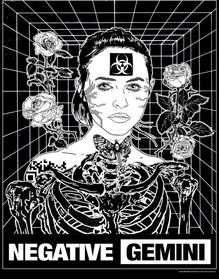 Interview with Negative Gemini Interview With Negative Gemini