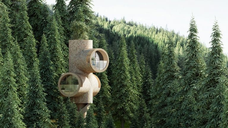 Studio Precht Has Unveiled Bert, A Series Of Truncated Timber Treehouses Studio Precht Has Unveiled Bert