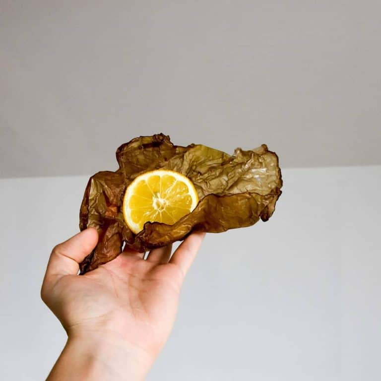 MakeGrowLab Creates A Revolutionary Material To Replace Plastic Packaging