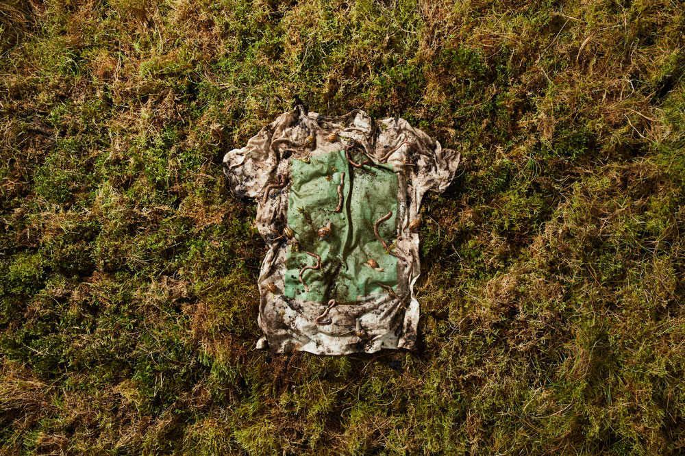 Vollebak's Plant And Algae T-Shirt Biodegrades
