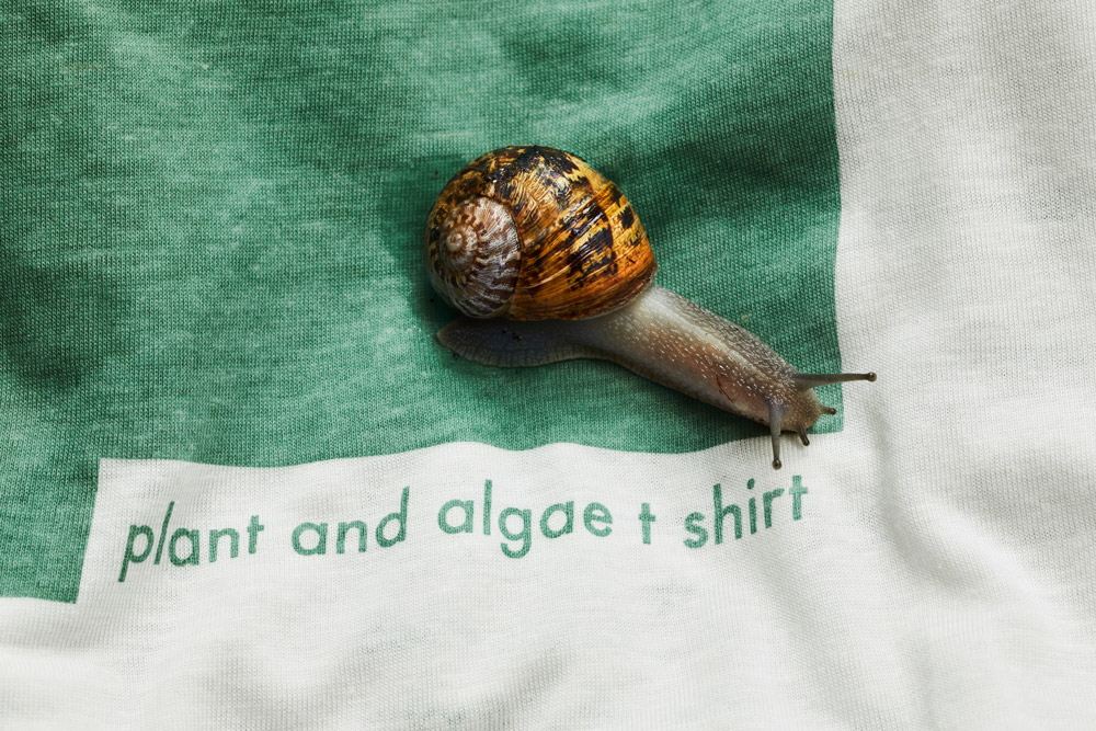 Vollebak's Plant And Algae T-Shirt Biodegrades