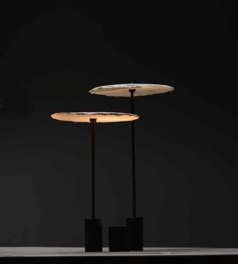 Nir Meiri Studio Creates Lamps From Mycelium