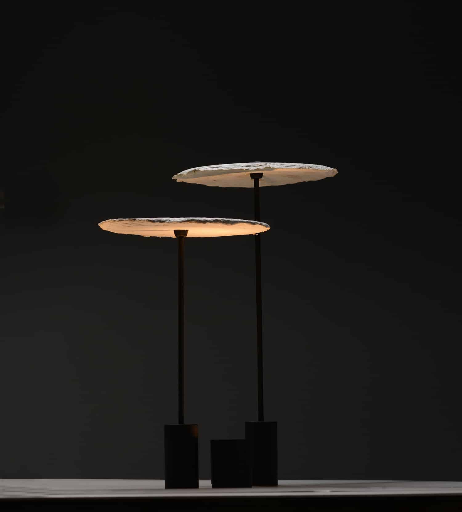Nir Meiri Studio Creates Lamps From Mycelium