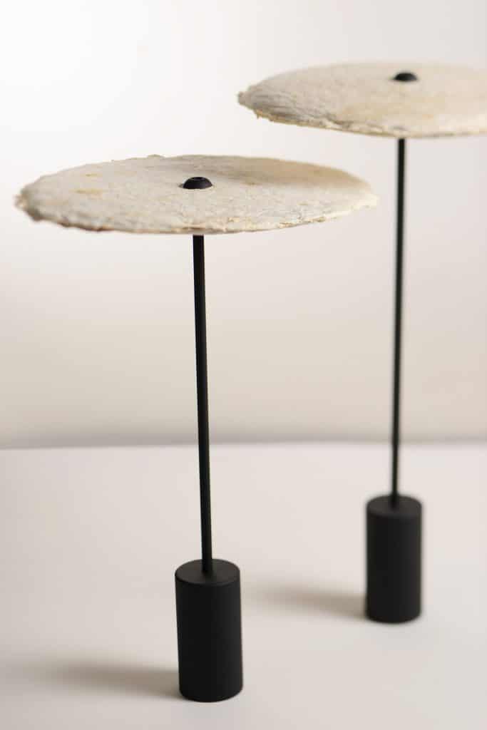 Nir Meiri Studio Creates Lamps From Mycelium