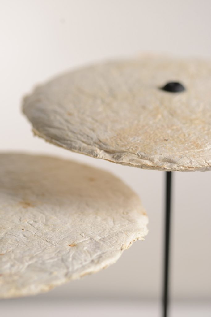 Nir Meiri Studio Creates Lamps From Mycelium