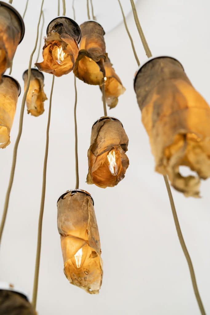 Nina Edwards Anker Creates Lamps From Marine Algae