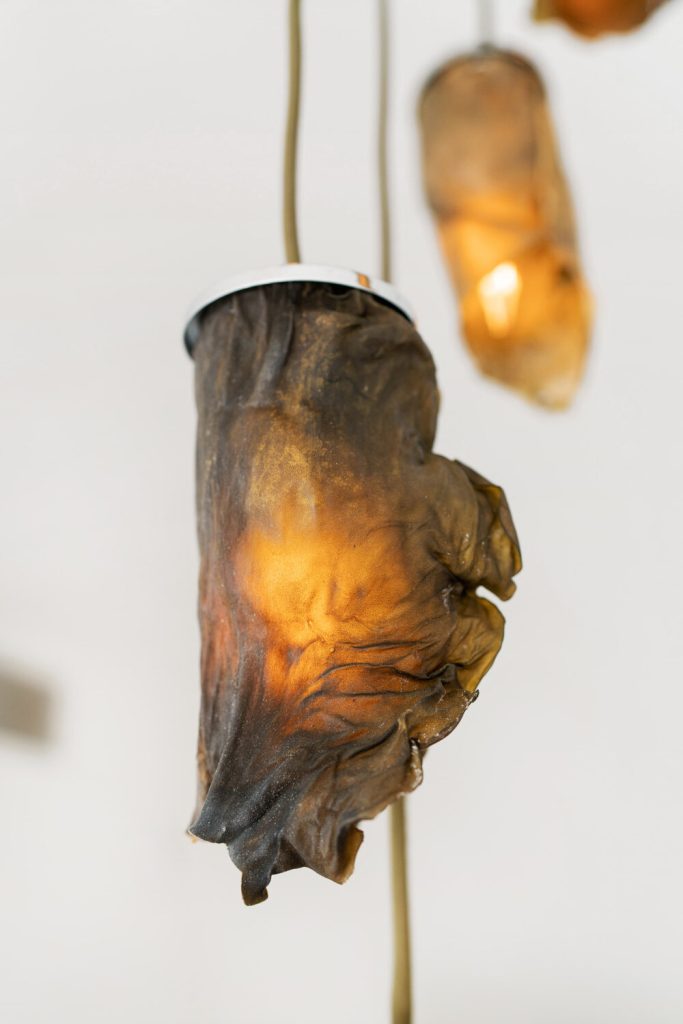 Nina Edwards Anker Creates Lamps From Marine Algae