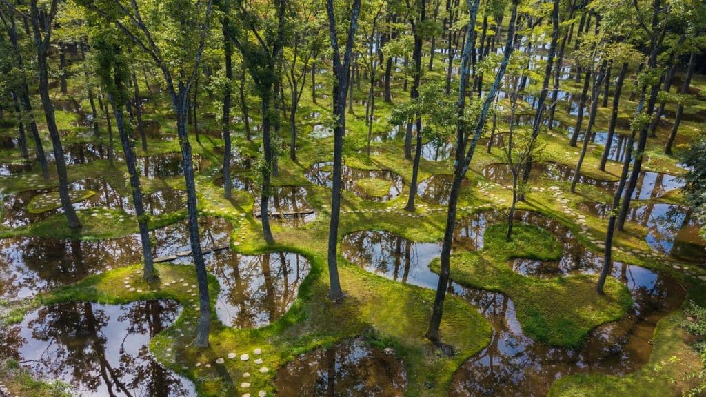 Biotop Water Garden by Junya Ishigami