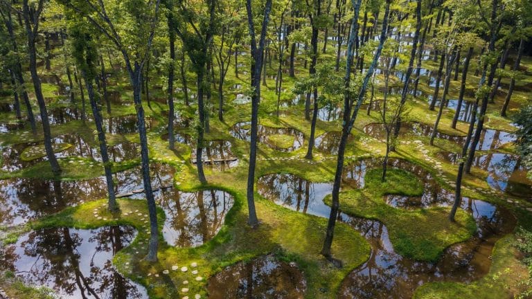 Art Biotop Water Garden by Junya Ishigami+Associates Wins The Obel Award Biotop Water Garden by Junya Ishigami