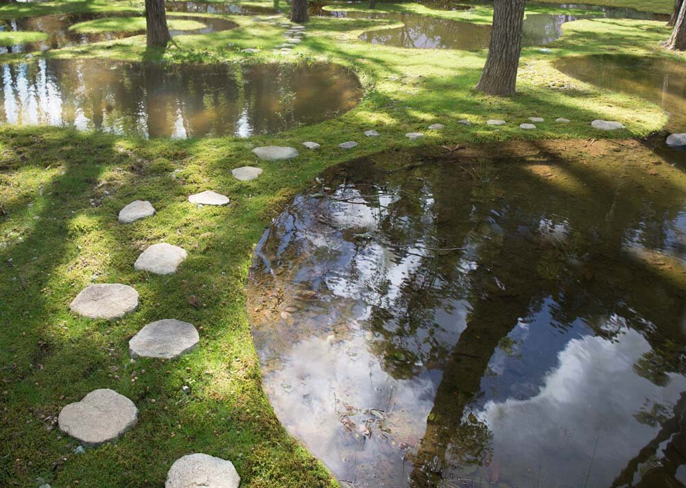 Biotop Water Garden by Junya Ishigami