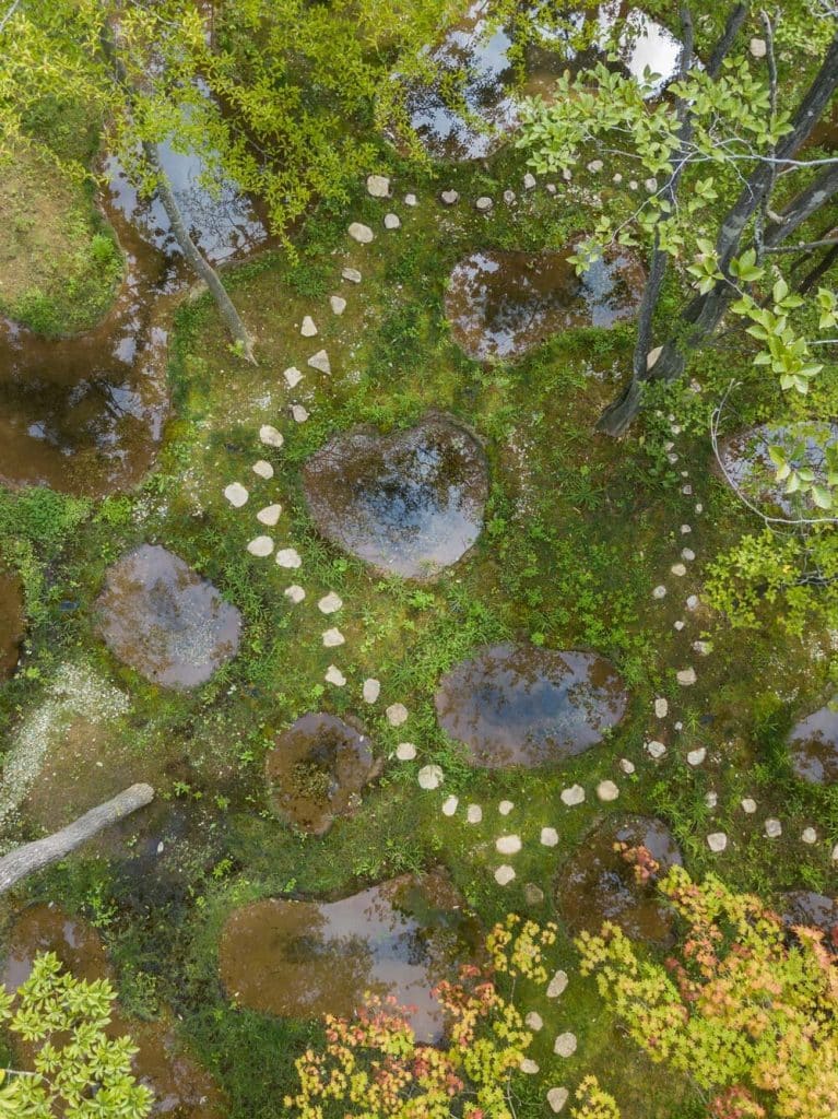 Biotop Water Garden by Junya Ishigami