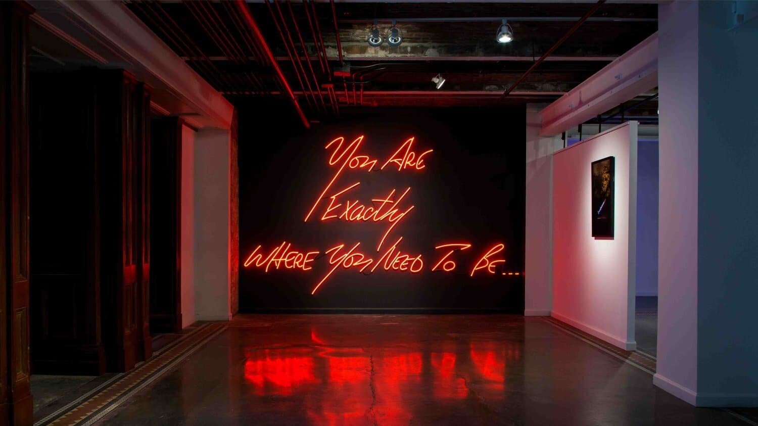 Neon Dreams Installed By Olivia Steele