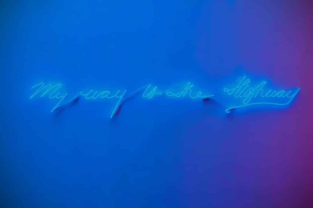 Neon Dreams Installed By Olivia Steele