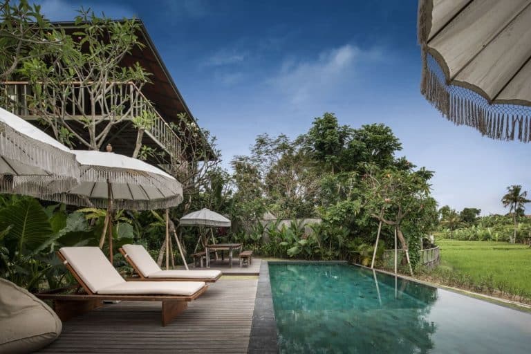 Treehouse C - A Home Between The Treetops Treehouse C - Treetops