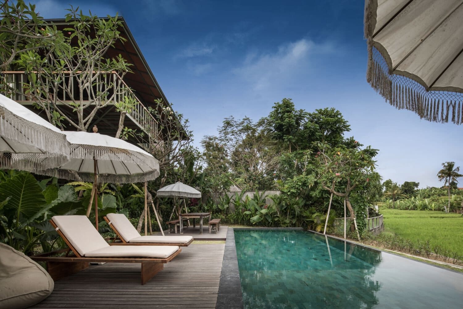 Treehouse C - Treetops