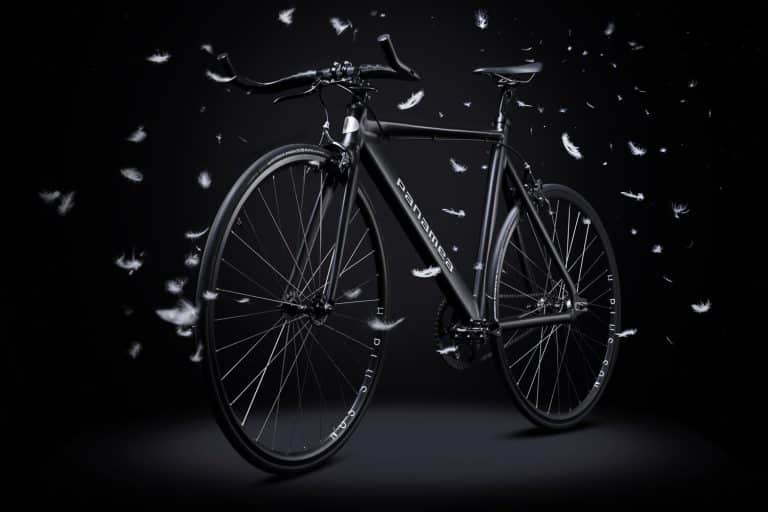 PANAMEA -City Bicycle
