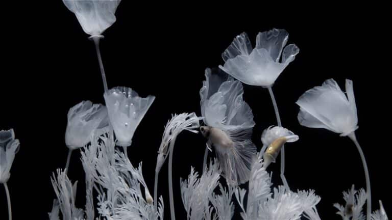 Luna Ikuta Experimental Style Blends Craftsmanship With Material Explorations Luna Ikuta Experimental Style Blends Craftsmanship With Material Explorations