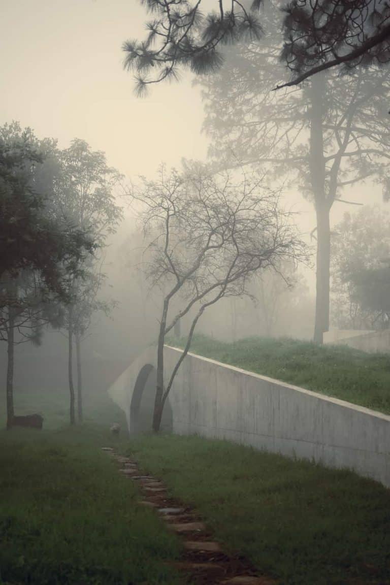 HW Studio Arquitectos Is Writing A Beautiful Architecture Poem On The Land HW Studio Is Writing A Poem On The Land