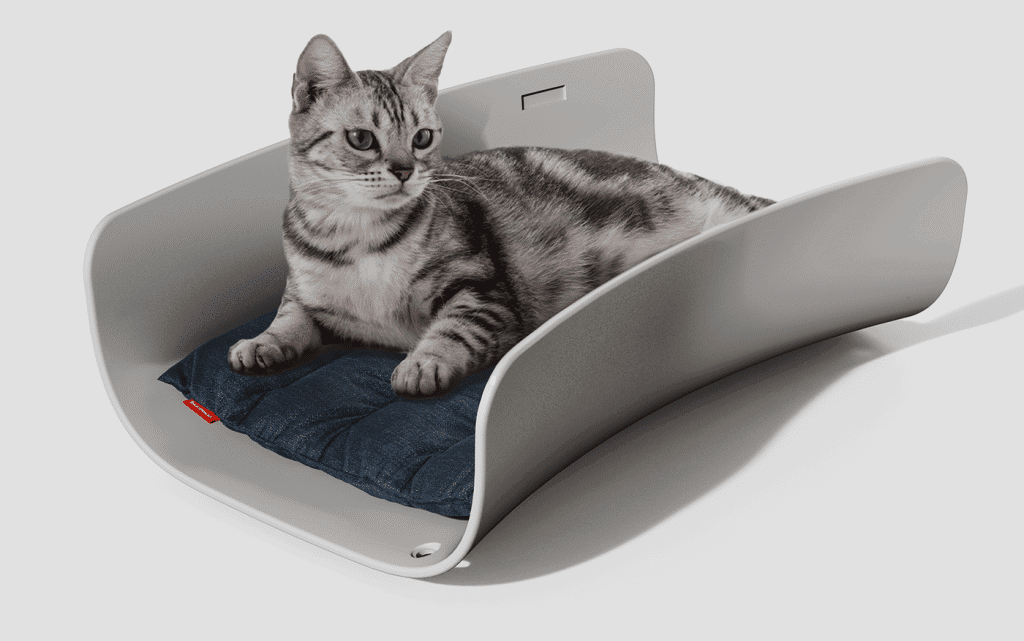 "The Burrow" - A Multi-functional Pet Carrier, House, and Bed