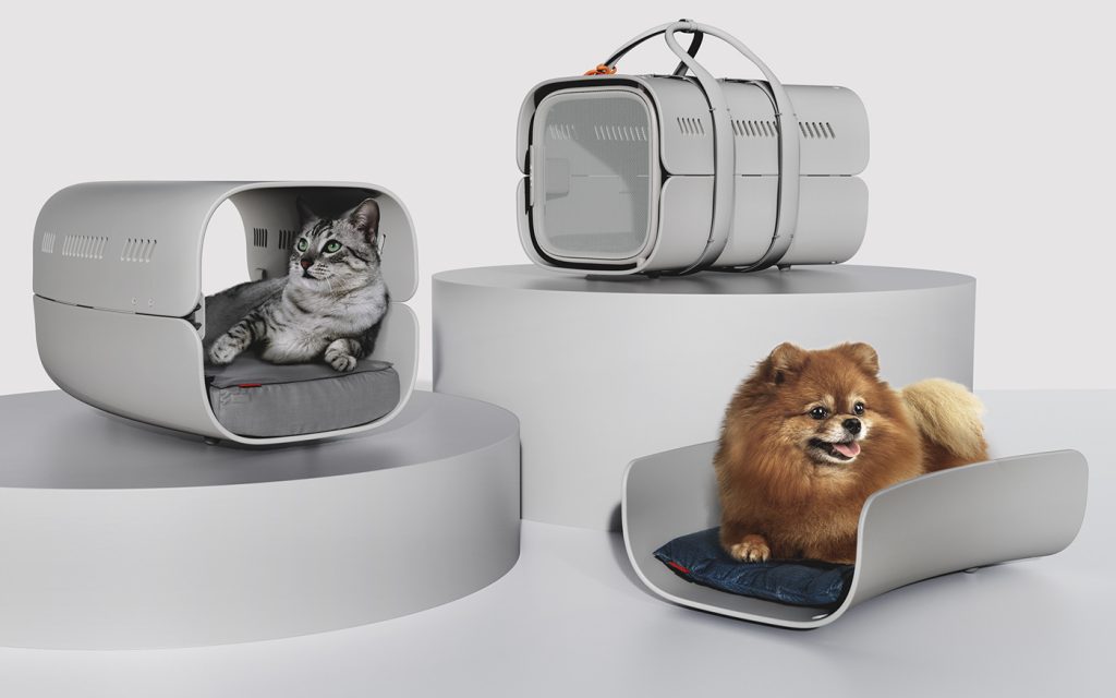 "The Burrow" - A Multi-functional Pet Carrier, House, and Bed