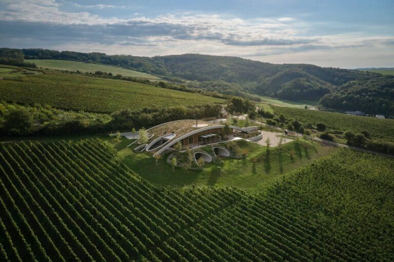 Gurdau Winery: A Harmonious Blend of Architecture, Landscape, and Wine