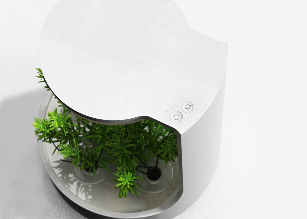 Planta: Bridging the Gap Between Virtual Space and Nature for Enriching Home Gardening