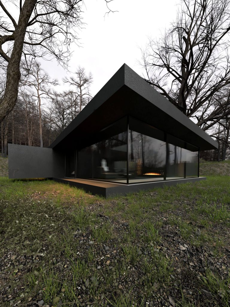 Black Sky Residence: Embracing Nature Through Glass and Light