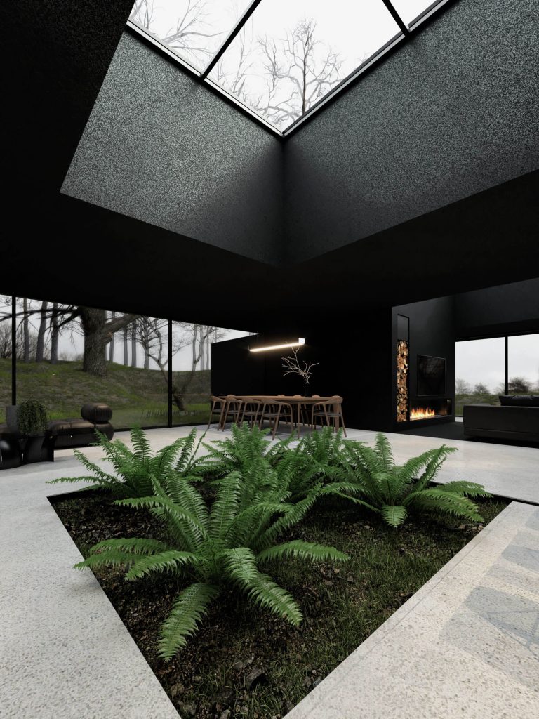 Black Sky Residence: Embracing Nature Through Glass and Light