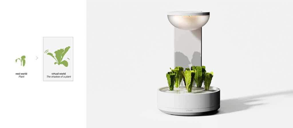 Planta: Bridging the Gap Between Virtual Space and Nature for Enriching Home Gardening