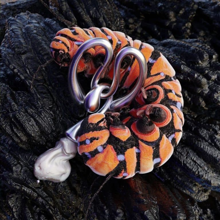 The Malleable Collection By Ada Sokol And Melancholia.co Vibrant orange and black patterned sea creature with metallic silver lock on textured volcanic rock surface.