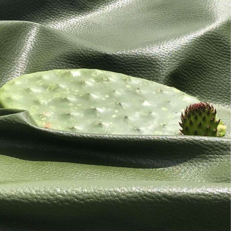 Desserto Introduces The Vegan Cactus Leather Green cactus pad with fruit and spines on textured dark green leaves.