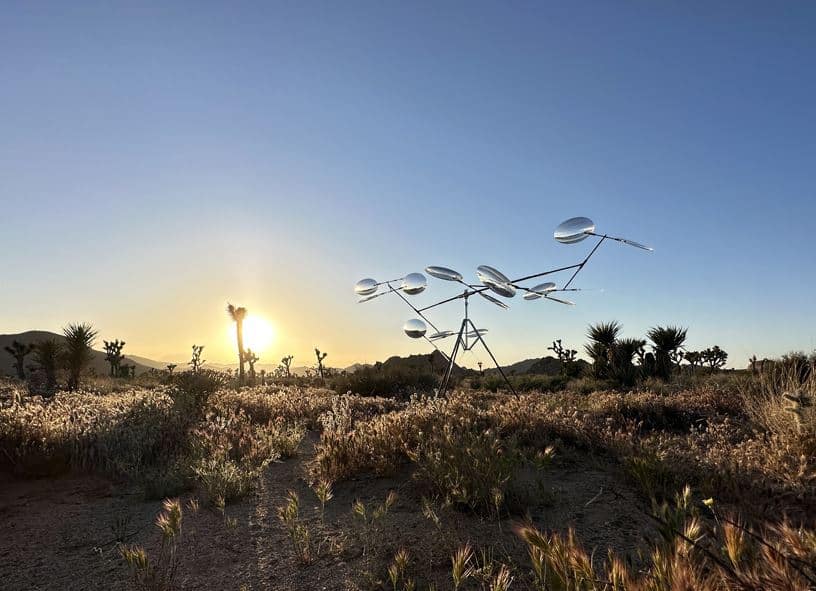 Vincent Leroy's Floating Lenses: Harmonizing Reality and Illusion in Joshua Tree