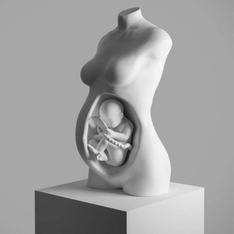 Interview with Federico Clapis A sculptural art piece of a pregnant woman's torso with a detailed unborn baby inside.