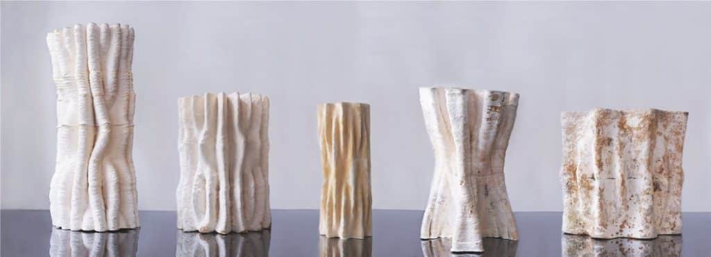 Blast Studio Visual Atelier 8 Objects From Nature 9