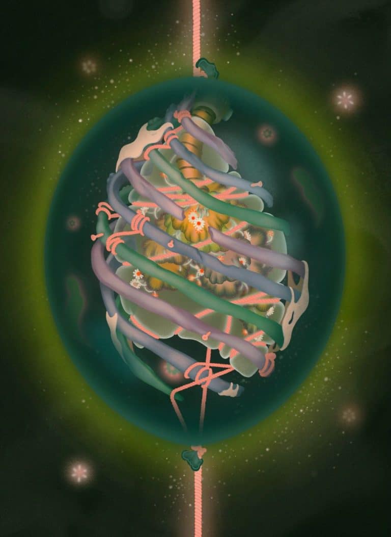 The Intricate Art of Danzhu Hu is Exploring the Emotional Human Experience Colorful digital artwork of a DNA molecule with intricate detail and vibrant colors, representing molecular biology and genetic research.