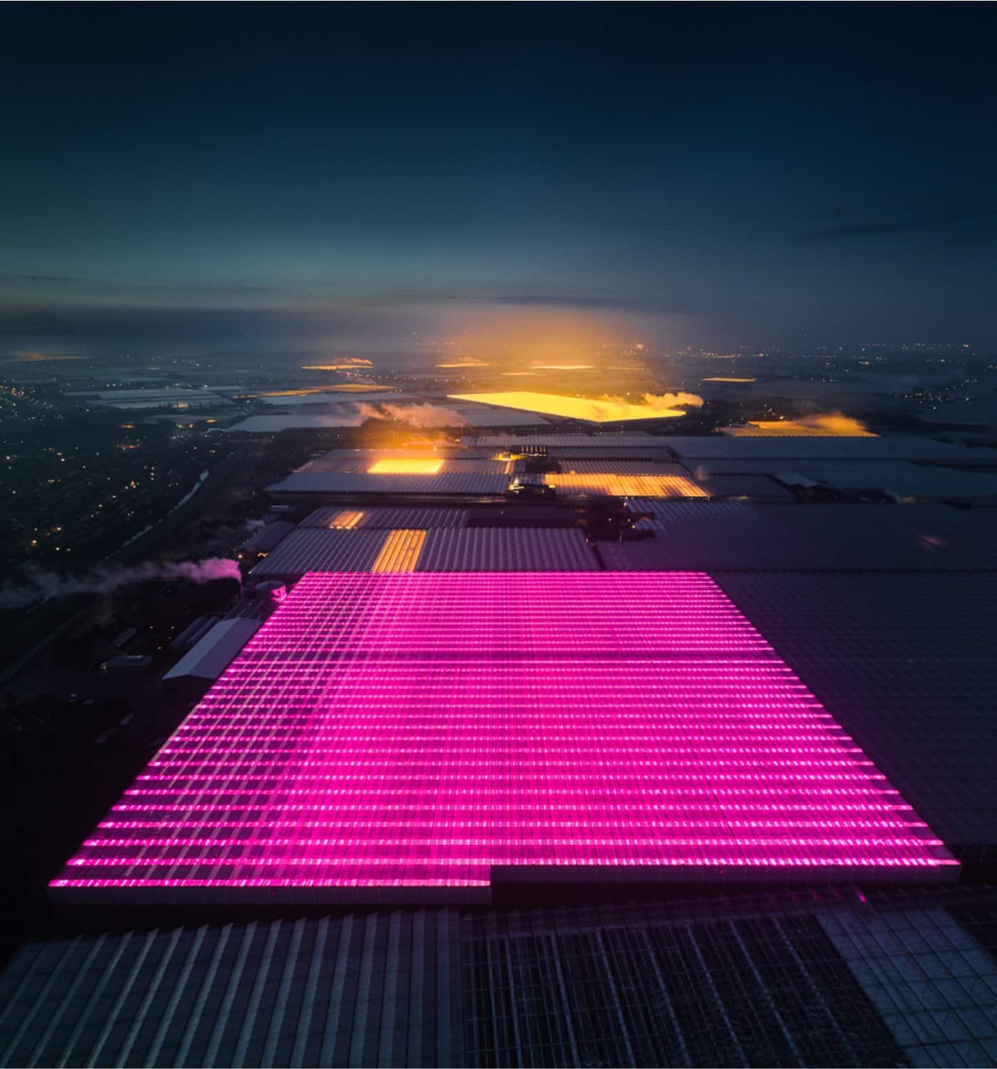Colorful illuminated greenhouse at dusk with vibrant pink and yellow lights, modern sustainable architecture, high-tech LED lighting, environmental innovation, eco-friendly design.