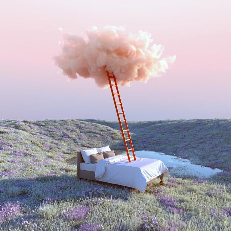 Yomagick's Scenes Of Tranquility Feel Real Enough To Touch Ladder leading to a pink cloud above a bed in a surreal landscape with purple flowers.