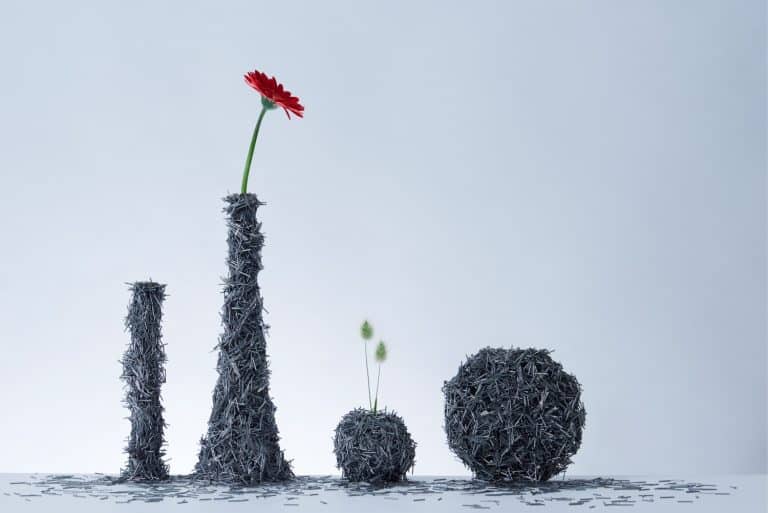 Swarm Features An Irregular Surface Formed By A Magnetic Force Hand sculpture made of nails holding a red flower and small plants on a plain background.