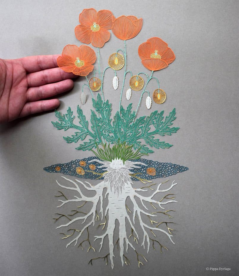 Meticulous Mastery: The Intricate Paper Art of Pippa Dyrlaga