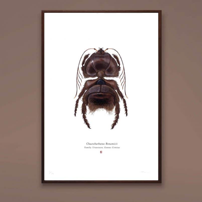 Merging Nature, Art, and Pop Culture: The Intriguing Universe of Richard Wilkinson's 'Arthropoda Iconicus' Project