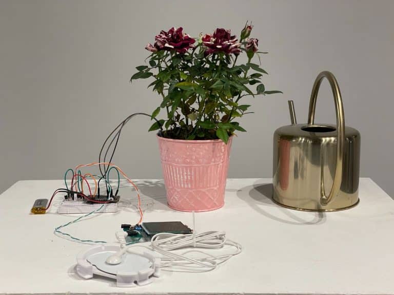Meiqi Zhang's Groundbreaking Plant Communication Art Wireless sensor and microcontroller connected to a potted plant for smart plant monitoring.